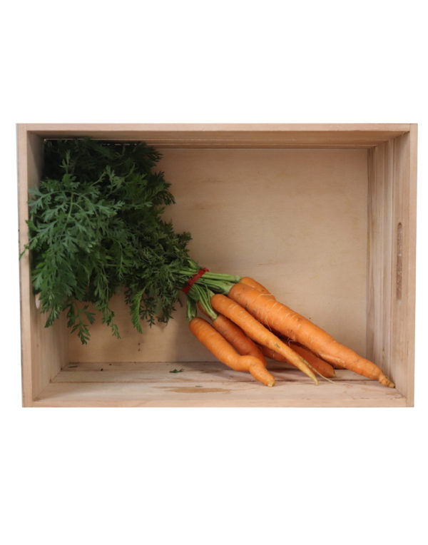 carottes-04