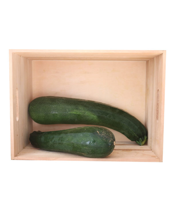 courgette grosse-01